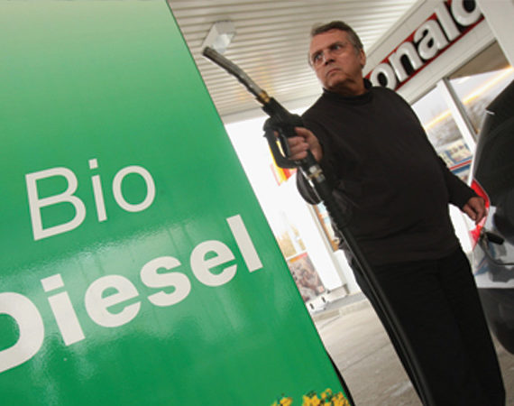 Covid-19. Como a queda no gasóleo pode ameaçar o bife que chega ao nosso prato