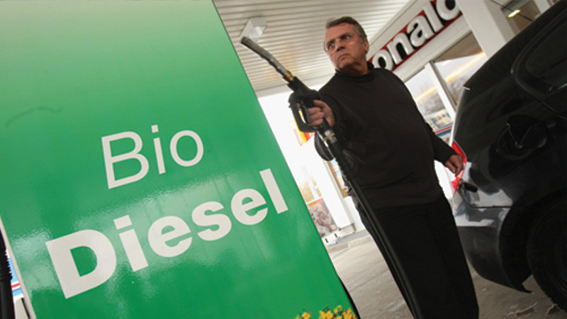 Covid-19. Como a queda no gasóleo pode ameaçar o bife que chega ao nosso prato