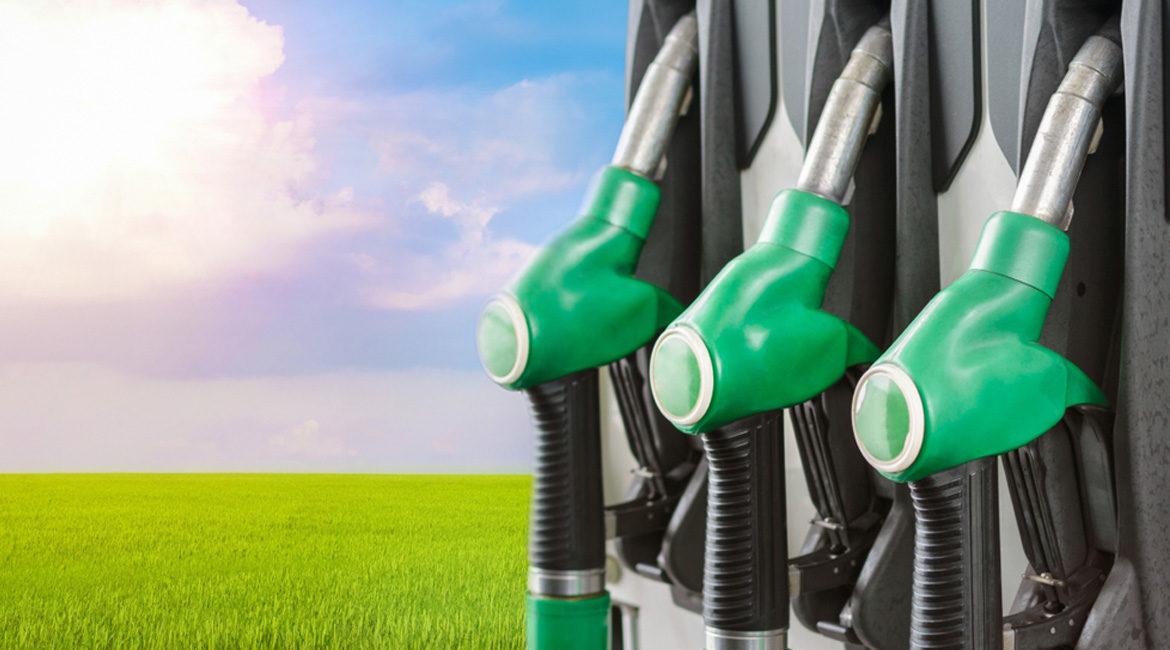 Projeto de biocombustível entre Galp e Petrobras acumulou prejuízos milionários