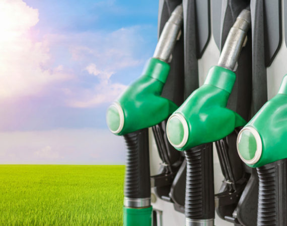 Projeto de biocombustível entre Galp e Petrobras acumulou prejuízos milionários